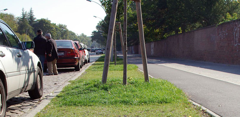 Gräsyta mellan cykelbana och bilväg